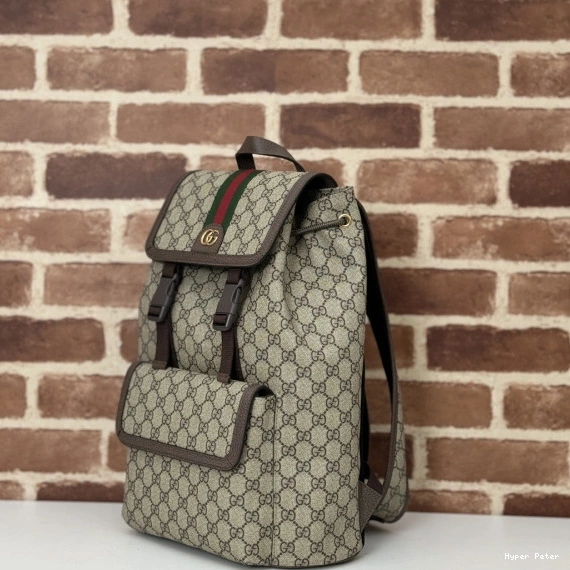 Hyperpeter GUCCI GG SMALL OPHIDIA BACKPACK 0723
